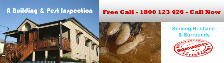 Brisbane Building & Pest Inspection
